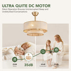 19.7in Ceiling Fan Light with Remote Control, 6 Speeds, Forward and Reverse for Living Room Bedroom