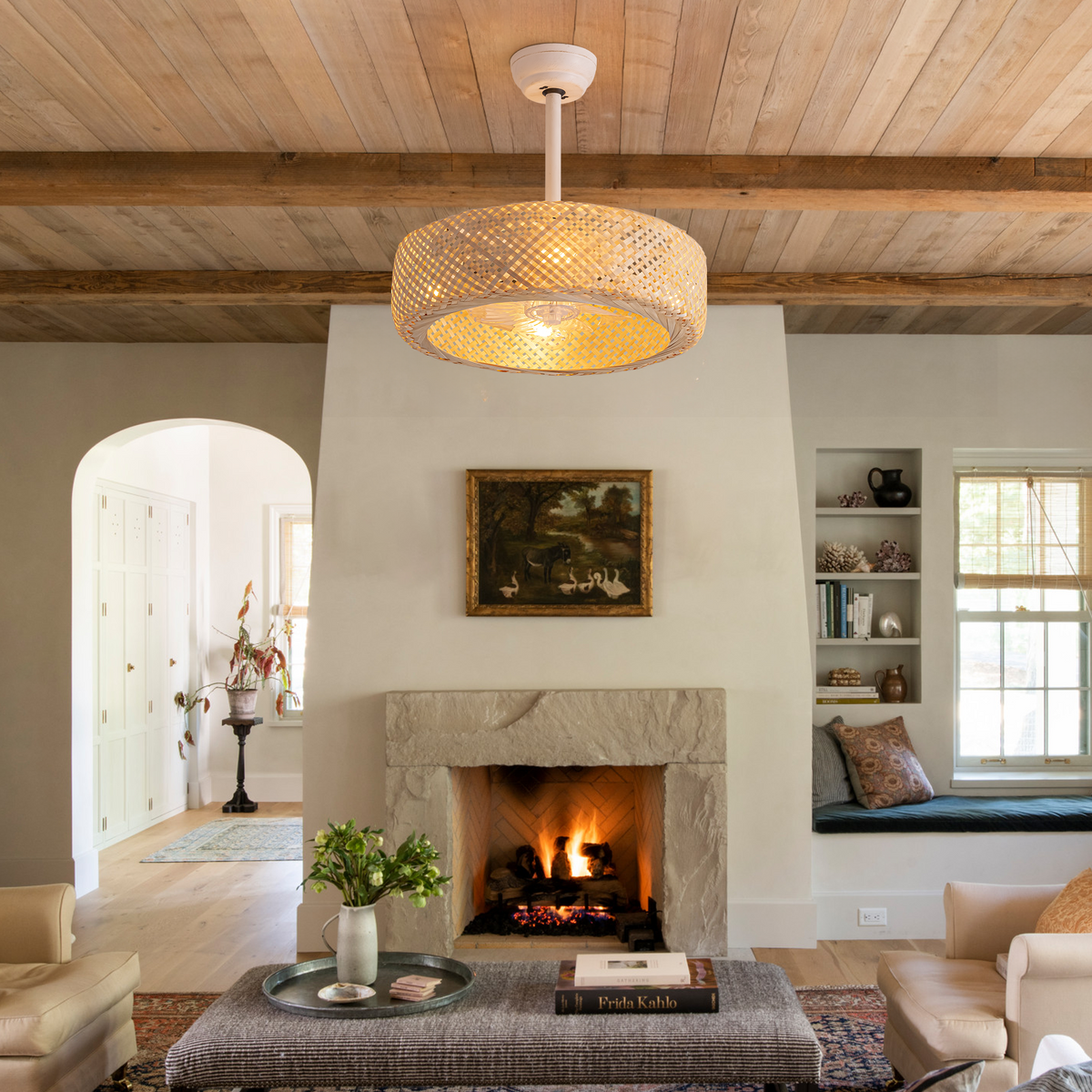 20'' Boho Caged Ceiling Fan with Light Kit, Remote Control and Handmade Frame With Aged Metal