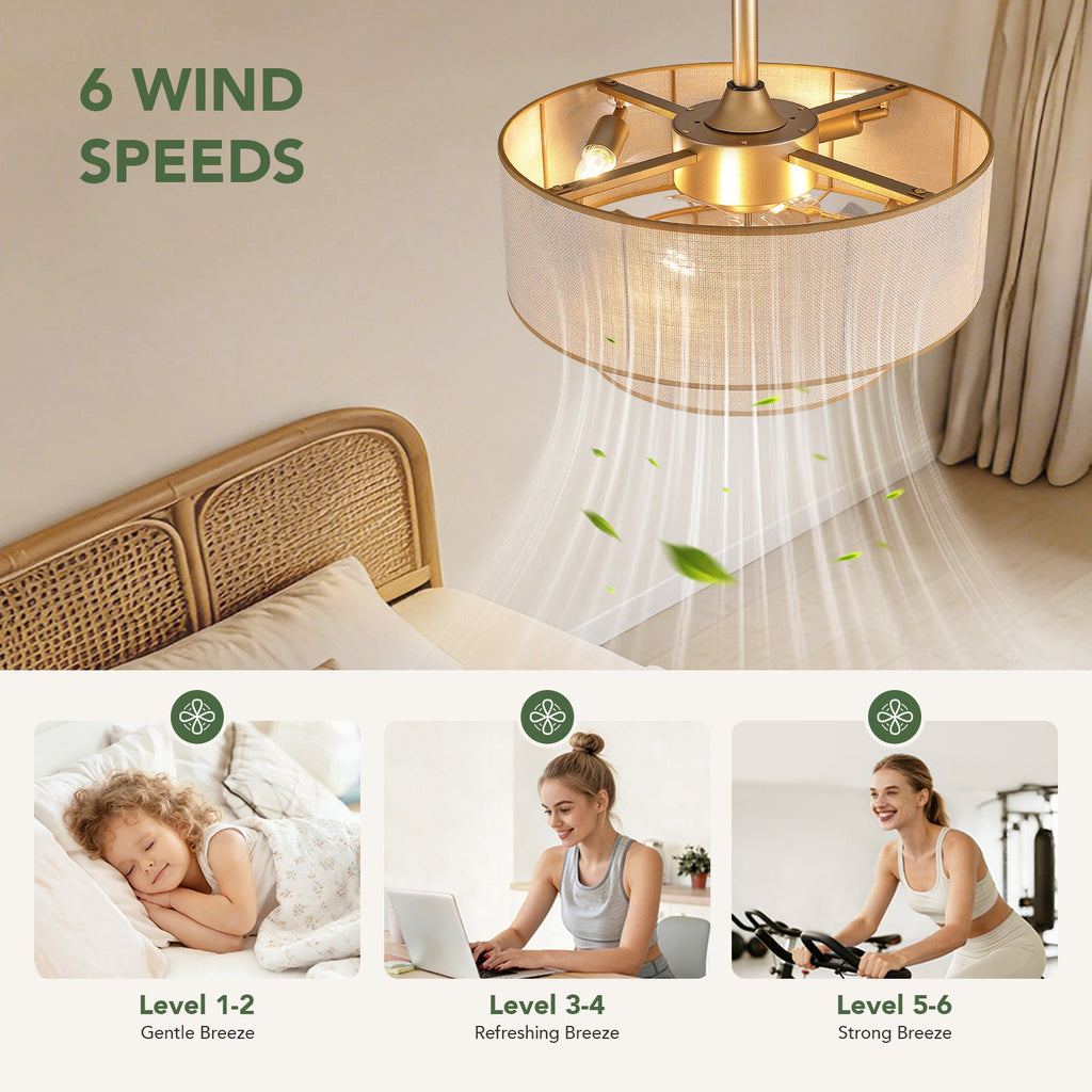 19.7in Ceiling Fan Light with Remote Control, 6 Speeds, Forward and Reverse for Living Room Bedroom
