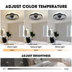 19" Indoor Black Caged Ceiling Fan with Integrated LED Light Modern Farmhouse Flush Mount Ceiling Fan