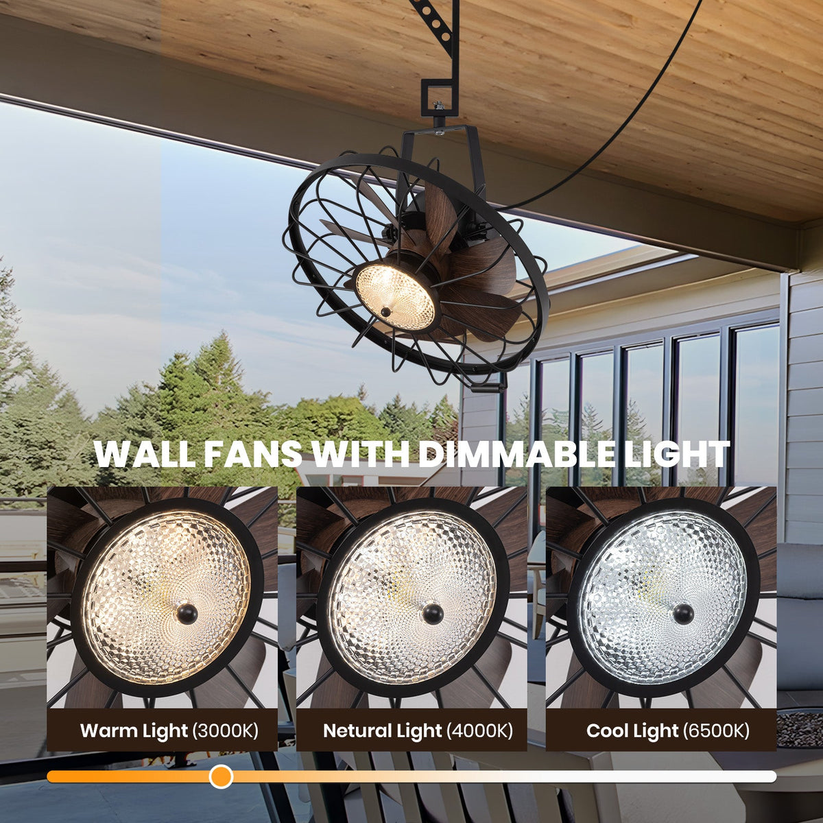 20 in. Black Indoor/Outdoor LED Waterproof Caged Wall Mount Fan with Remote and APP Control