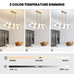 48in 16-Light Adjustable Linear Pendant Light with Iron Frame & Glass (Bulb Not Included)
