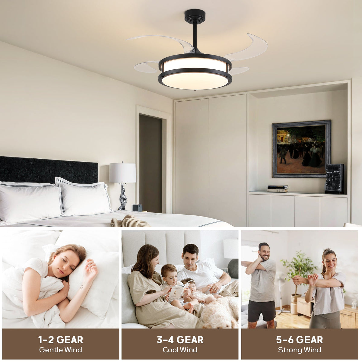 48in Indoor Downrod Mount Modern Black Retractable Dimmable Fandelier Ceiling Fan with Remote